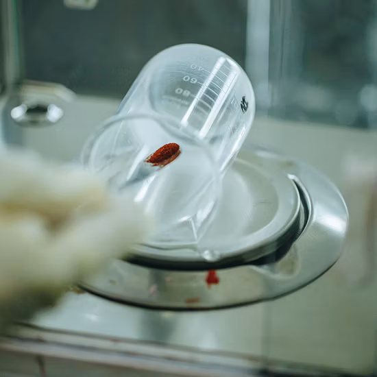 반응성 염료 염료 Red R